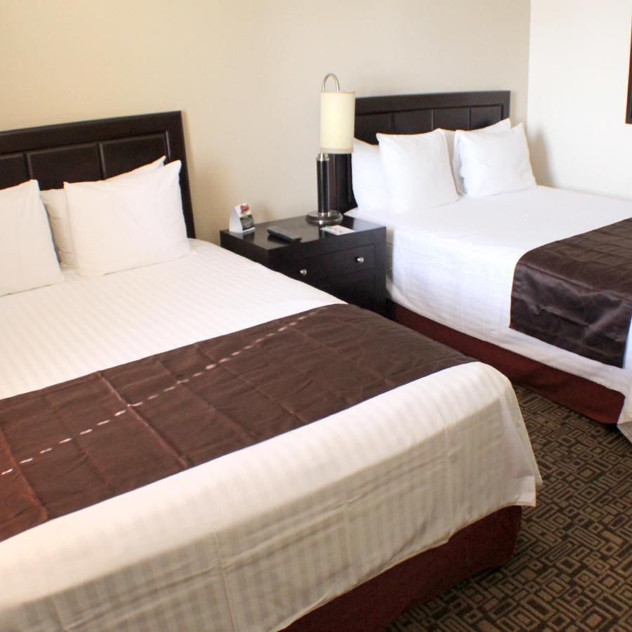 מלון Wyndham Garden Torreon Tecnologico מראה חיצוני תמונה