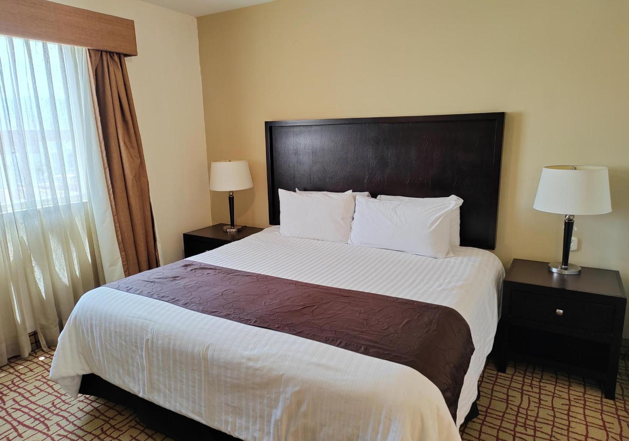 מלון Wyndham Garden Torreon Tecnologico מראה חיצוני תמונה
